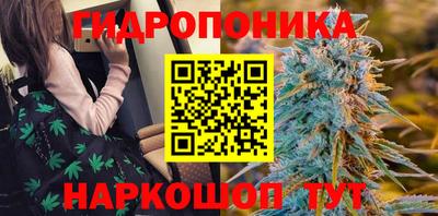 a pvp Кудрово
