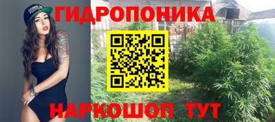 винт Берёзовский