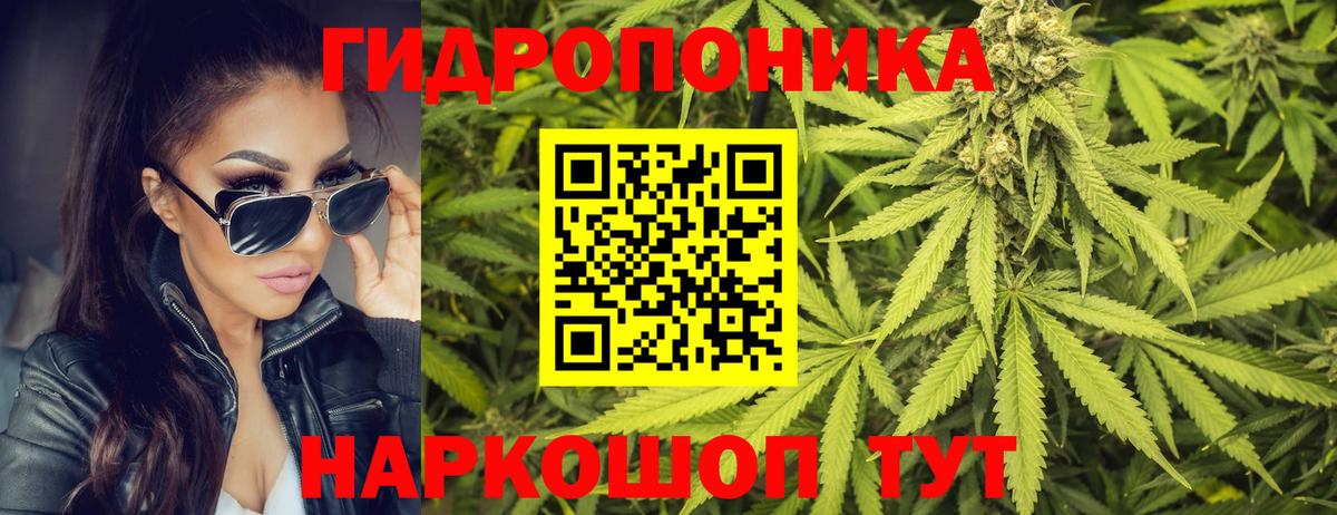 Шишки марихуана Ganja  Вход с VPN  Когалым  Шишки марихуана ГИДРОПОН  Конопля план  Бошки марихуана ГИДРОПОН 